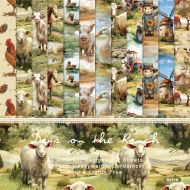 Набор бумаги Days on the Ranch 15х15 см