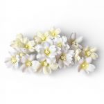 Набор цветов Бело-кремовые